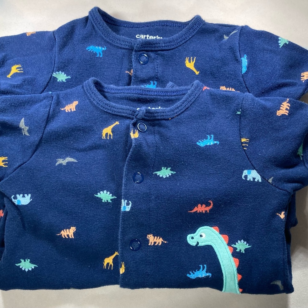 Dinosaur One Piece Shorts